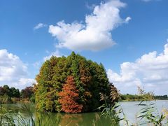 -尚湖风景区