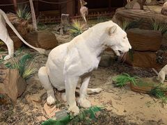 -陕西自然博物馆