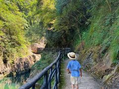 -龙湾潭国家森林公园