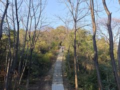 -桃花岭景区