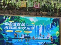 -呀诺达热带雨林