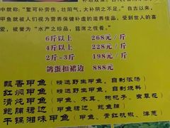 -丁老爷子苏香圆