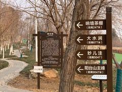 -阳台山自然风景区