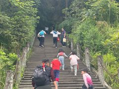 -铁山坪森林公园