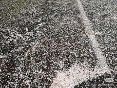-帝京日语(春熙路旗舰校区)
