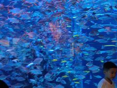 -成都浩海立方海洋公园