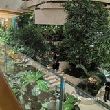 感觉整座城都在狂欢！我的小朋友的最爱琥珀宫开到了南郊