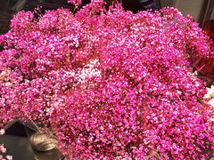 -双季花艺园艺市场(浦东店)