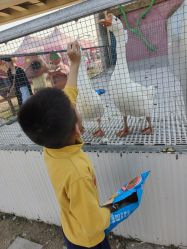 -莫莉幻想儿童乐园(武汉经开永旺店)