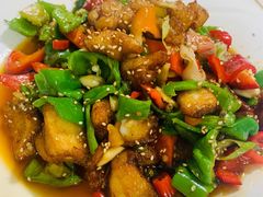 -煲来饱去冷水鱼