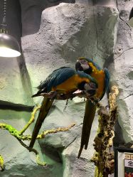 -Zoolung Zoolung动物主题公园(海信广场店)