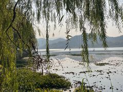 -鸣鹤古镇