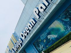 -芜湖新华联大白鲸海洋公园