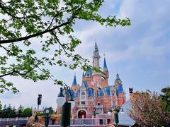 -上海迪士尼度假区