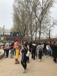 -上美四季动物农场