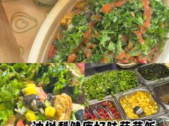 -油梨树AVOCADO TREE(顺义新国展店)