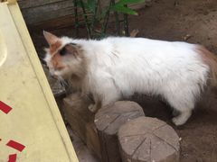 -龙达温泉生态城