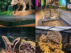 -正佳雨林生态植物园