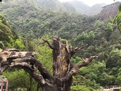 -龙湾潭国家森林公园