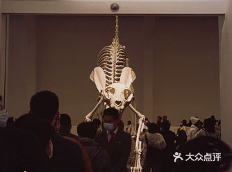 11月新展解说 昨天顶着大风去看了ucca的新展：莫