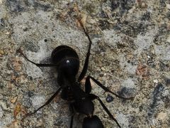 -东天目山风景区