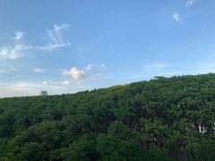 -深圳湾公园(南山区)