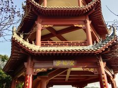 -清溪大王山森林公园
