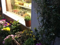-狐狸家·酸奶酪专门店(平江路店)