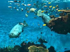 -鹿儿岛水族馆