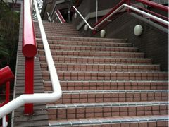 -香港大学