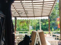 -Local泰莲庭(虹鳟鱼店)