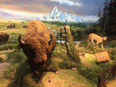 -陕西自然博物馆