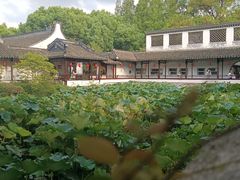 -上海醉白池公园
