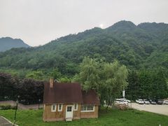 -四川省成都市彭州市白鹿镇