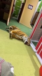 -幻贝家儿童乐园(苏州中心店)