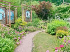 -上海共青森林公园