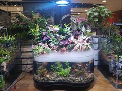 -凯德MALL(望京店)