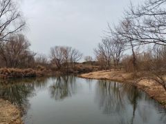 -梁鸿国家湿地公园