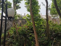 -荔枝公园-小平画像广场