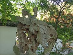 -上海醉白池公园