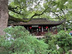 -上海醉白池公园