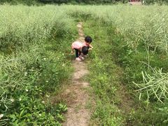 -红山村