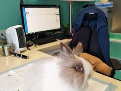 -雨林宠物医院 非犬猫异宠专科
