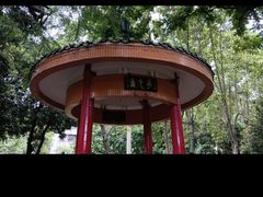 -金砂公园