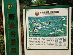 -野象谷景区