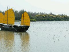 -大湾区中央湿地公园