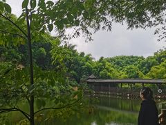 -沐川竹海旅游景区