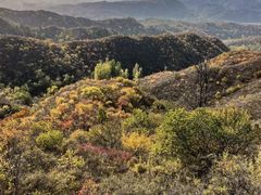 -蟠龙山长城景区