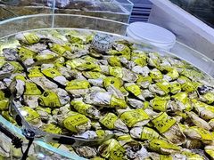 -聚盛源蒸汽海鲜火锅烤肉自助(巨川金海岸购物广场店)