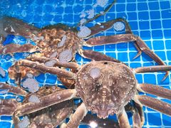 -本达人海鲜烧烤·朝鲜族风味(发展店)